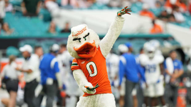 Miami Hurricanes mascot Sebastian the Ibis